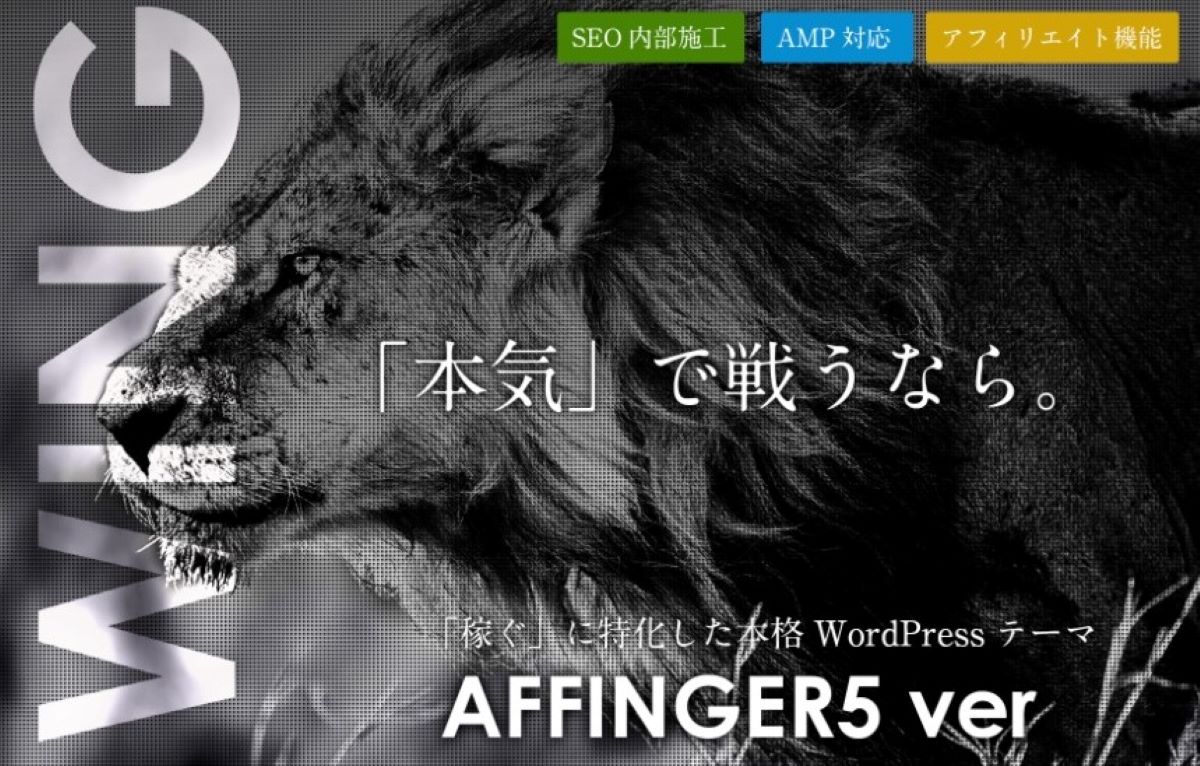 【AFFINGER5は初心者でもOK】Cocoonからテーマ変更した初期設定の方法